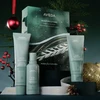 Aveda Scalp Solutions rinkinys plaukų šampūnas 100ml + plaukų kondicionierius 100ml + šveičiamoji galvos odos procedūra 150ml