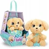 Baby Paws – Labradoras (264-921146)
