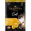 Prospera Plus Indoor 1+ lašiša Long Hair 2kg