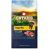 Ontario Puppy Mini ėriena & Brown ryžiai 6.5kg