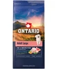 Ontario Adult Large žuvis & Brown ryžiai 12kg