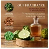 Baylis Harding Debenhams Men the Fuzzy Duck Bergamot, Hemp & Sandalwood Men's Refreshing Wash Kit Gift Set