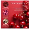 Baylis Harding Debenhams Midnight Cherry Luxury Heart Keepsake Gift Box Gift Set