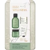 Baylis & Harding, Set Regalo Bellezza, Geschenkset Ginger, Lime & Basil 4-tlg
