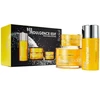 Bee Indulgente Edit Set Rodial: Bee Venom Moisturizing Kreminis For Face, 50 ml + Bee Venom Brightening Paakių kremas, 25 ml + Bee Venom Eliminates Impurities Cleansing Balm For Face, 100 ml