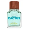 Benetton United Dreams Žalias Cactus EDT tualetinis vanduo vyrams, 100 ml