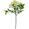 Besk Dekoratyviniai spygliai kekėje 33 cm, balti