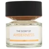 Bmw The Scent Of Amberness EDP parfumuotas vanduo vyrams, 50 ml