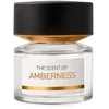 Bmw The Scent Of Amberness EDP parfumuotas vanduo vyrams, 50 ml