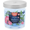 Žvakė, aromatinė Bolsius Bijūnų ir mėlynių, 25 h, 10 cm