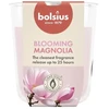 Žvakė, aromatinė Bolsius Blooming Magnolia, 25 h, Rožinė