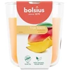 Žvakė, aromatinė Bolsius Happy Mango, 45 h, Oranžinė