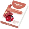 Bolsius BOLSIUS True Scents 4H kvapiosios žvakutės 60 vnt. GARANE