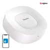 SONOFF Zigbee Bridge Ultra Wifi, Zigbee, LAN centralė