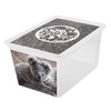 Branq Laikymo dėžė X box deco koala 30L Skaidri