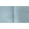 Technoinform Sąsiuvinis 1 klasei, A5, langeliais, 12 lapų, 70gsm