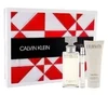 Calvin Klein Eternity rinkinys moterims (EDP, 100 ml + kūno losjonas, 100 ml + EDP, 10 ml)