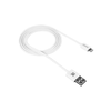 CANYON kabelis CFI-1 Lightning 5W 1m Baltas
