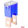 Japval PAL vyriški automobilio saugikliai, 2 vnt., 100A, amio-03403