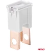 Japval PAL vyriški automobilio saugikliai, 2 vnt., 120A, amio-03404