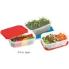 Cello food freeze container 3300ml | red