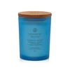 Chesapeake Bay Candle vidutinė žvakė – Confidence &amp; Freedom (Oak Moss Amber)