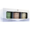 Chesapeake Bay SET (Scented Candle 3x96g)