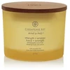 Chesapeake Bay Candle 3 dagčių žvakė – Strength &amp; Energy (Pineapple Coconut)