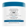 Christophe Robin, Purifying, Thermal Mud, Hair Treatment Kreminis Mask, For Detoxing, 250 ml