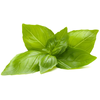 Click And Grow Click &amp; Grow sėklos išmaniajam vazonui - Bazilikai citrininiai, 3vnt.