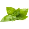 Click And Grow Click & Grow sėklos išmaniajam vazonui - Bazilikai citrininiai, 3vnt.
