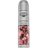 Cuba Blossom (EDP) moteriški kvepalai 100 ml