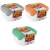 Plastikinių maisto laikymo indelių rinkinys CURVER Fresh&amp;Go, mėtinės, pilkos, rausvos sp., 3x0,8L