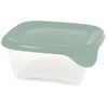 Curver Food container square 0.25L Fresh&amp;Go žalias