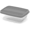 Curver Rectangular food container set 2x1.75L Vedo transparent pilka