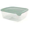 Curver Square food container 2.9L Fresh&amp;Go žalias