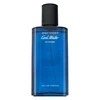Davidoff Cool Vanduo Intense EDP parfumuotas vanduo vyrams, 75 ml