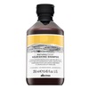 Davines Natural Tech maitininantis Šampūnas, 250 ml