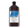 Davines NATURALTECH Rebalancing Šampūnas šampūnas riebiai galvos odai ir plaukams, 1000 ml