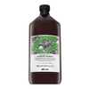 Davines Natural Tech Renewing Šampūnas atnaujinantis šampūnas, 1000 ml