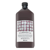 Davines NATURALTECH Replumping Conditioner plaukus storinantis kondicionierius, 1000 ml