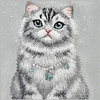 NIMMY dėklas LUCKY FASHION CAT, suderinamas su MagSafe, skirtas IPHONE 18 Pro/17 Pro, pilkas