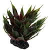 Dekors terārijam : Repti Planet Agave succulent žalias, 18 cm