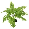 Dekors terārijam : Repti Planet Nephrolepis fern, 20 cm