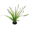 Dekors terārijam : Repti Planet Spartina grass, 30 cm