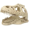 Dekors terārijam : Repti Planet T:REX skull 13,3x8,5x9cm