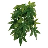 Trixie Silk kabantis augalas, 20 × 30 cm
