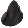 Delux M618Mini Gold Ergonomic Pelė (USB / Bluetooth / 2.4G)