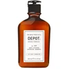 Depot 100 Hair Cleansing No. 109 Hair Treatment šampūnas, 250 ml