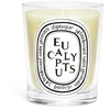 DIPTYQUE CANDELA EUCALYPTUS CANDLE 190 GR